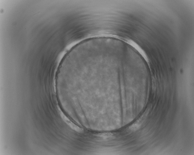 X0000070251388200606301615