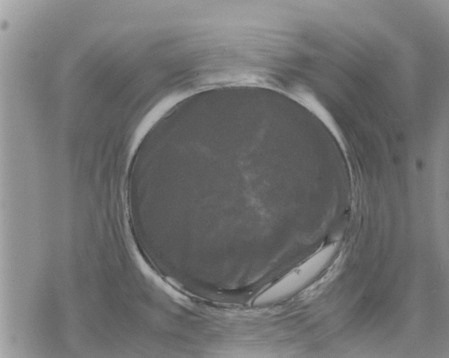 X0000070251389200606301615