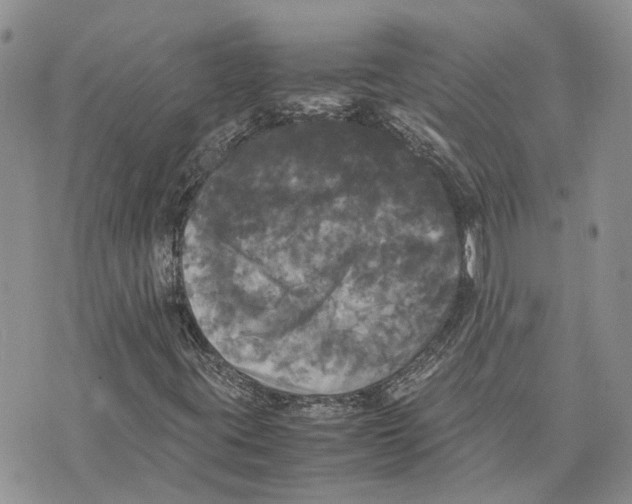 X0000070251395200606301614