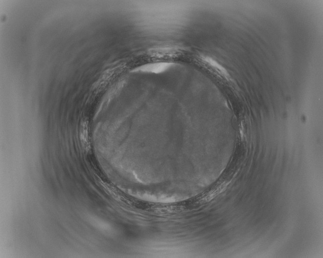 X0000070251396200606301614