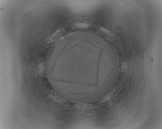 X0000070251397200606301614