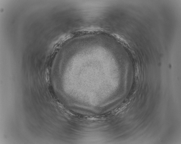 X0000070251398200606301614