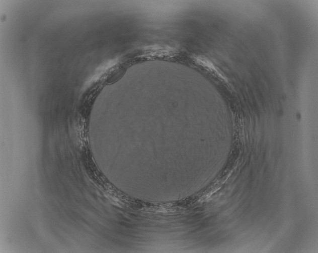 X0000070251399200606301614