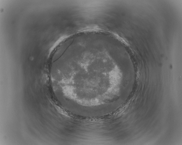 X0000070251400200606301614