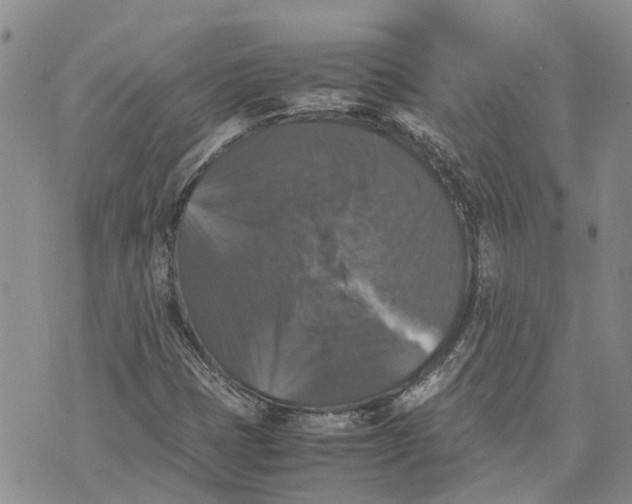 X0000070251401200606301614