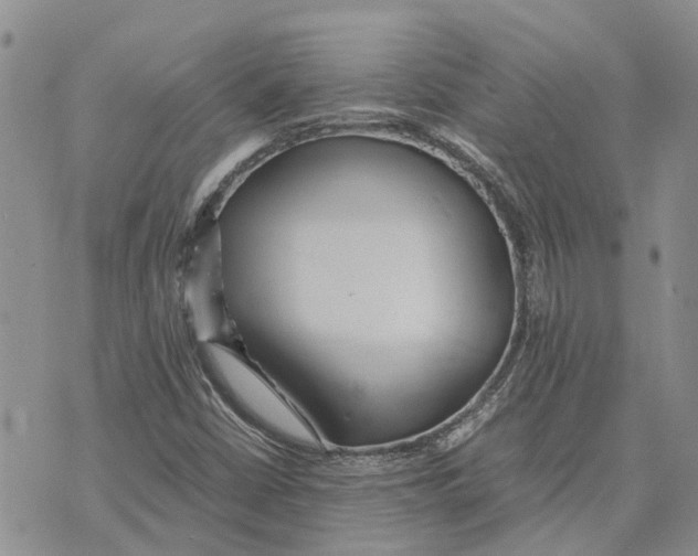 X0000070251402200606301614