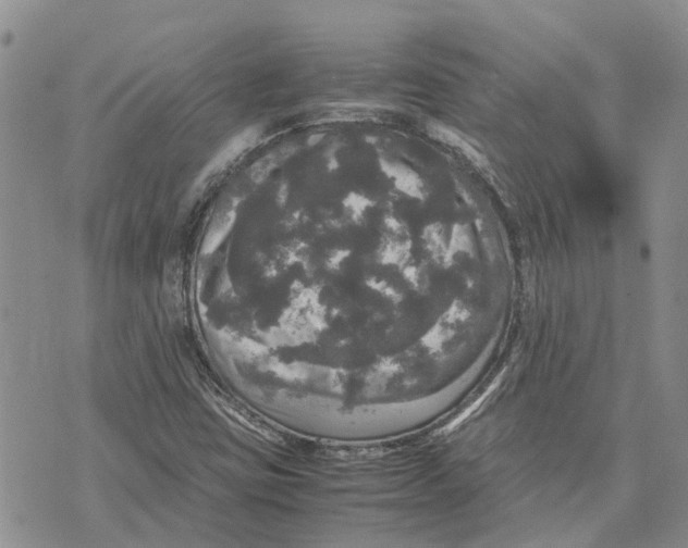 X0000070251403200606301614