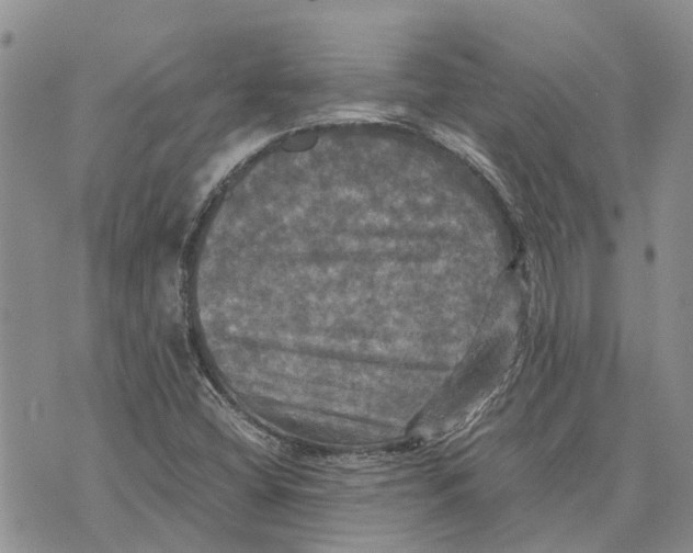 X0000070251404200606301614