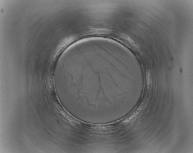 X0000070251405200606301614