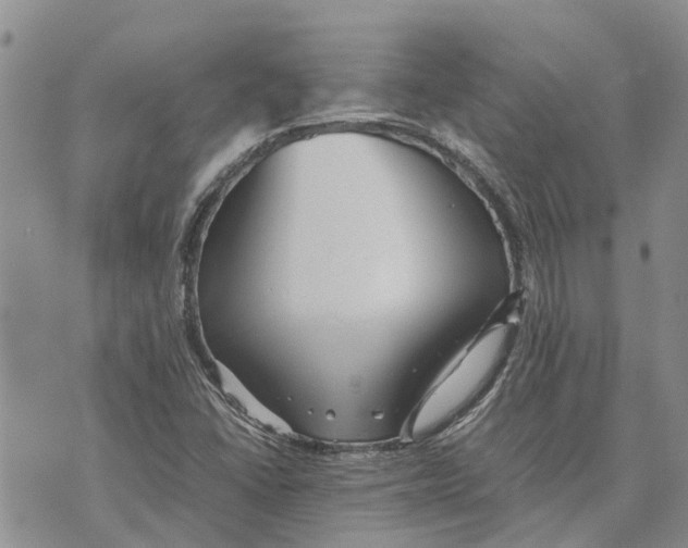 X0000070251406200606301614