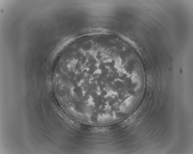 X0000070251407200606301614