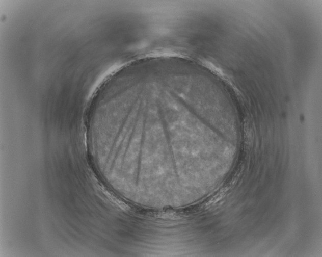 X0000070251408200606301614