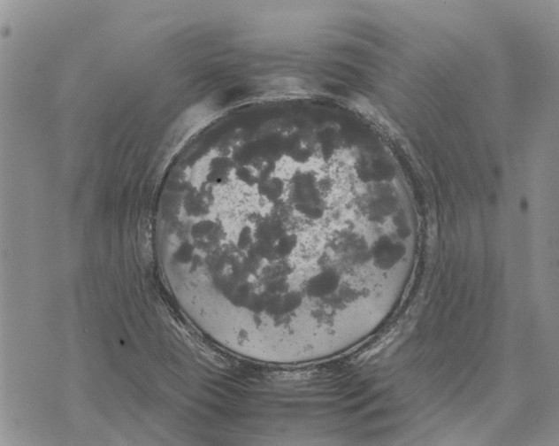 X0000070251409200606301614