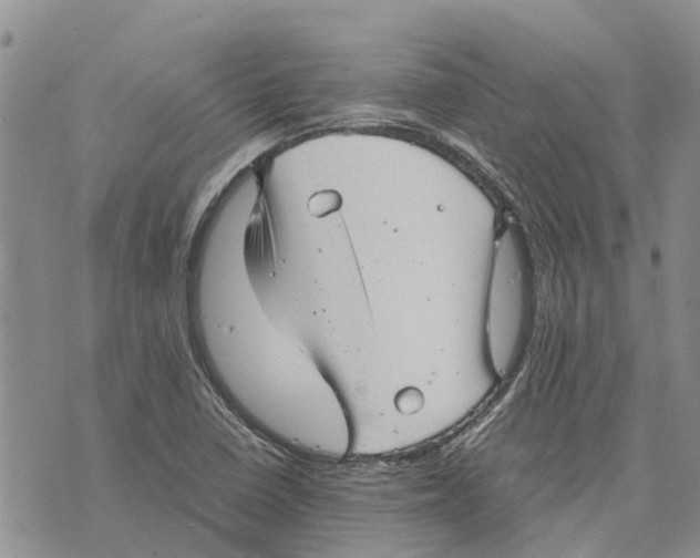 X0000070251410200606301614