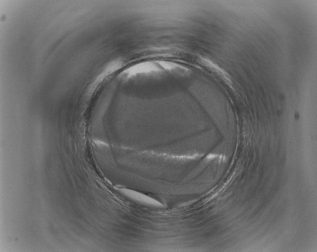 X0000070251411200606301614