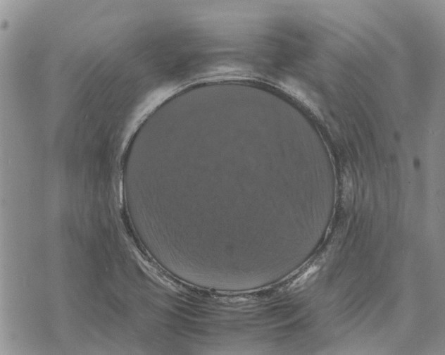 X0000070251413200606301614