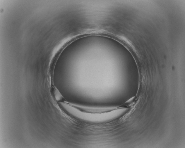 X0000070251414200606301614