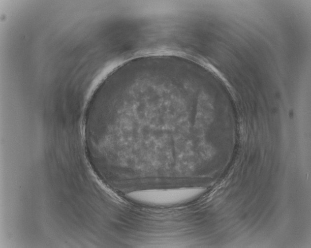 X0000070251416200606301614