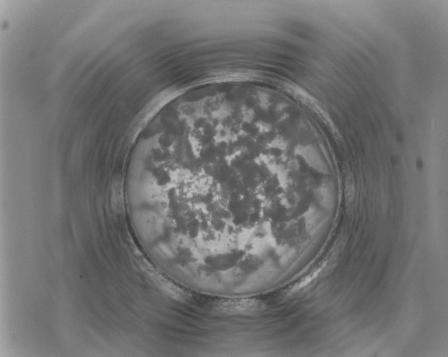 X0000070251417200606301614