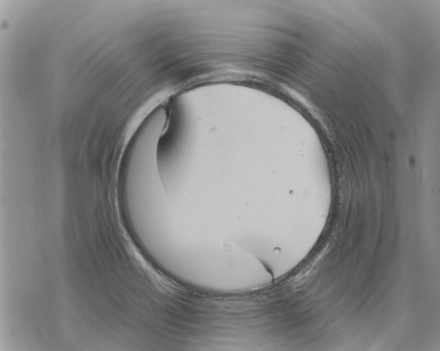 X0000070251418200606301614