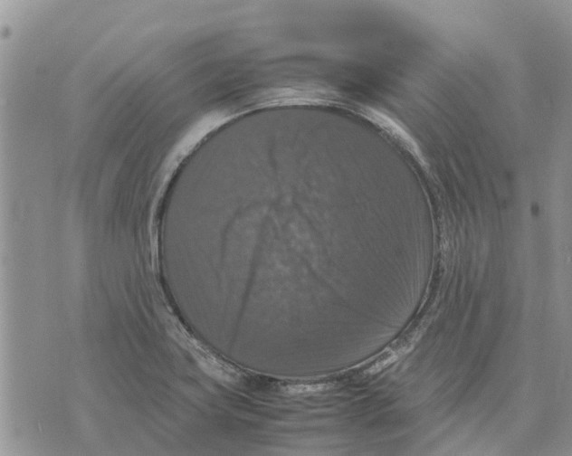 X0000070251419200606301614