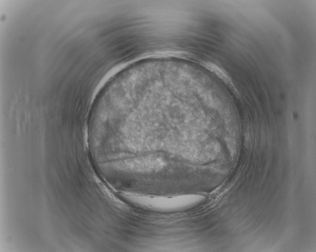 X0000070251420200606301614