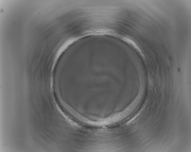 X0000070251424200606301614