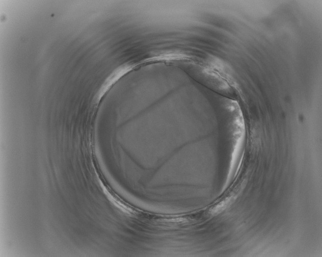 X0000070251425200606301614