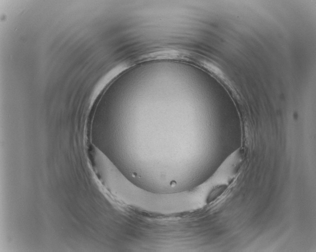 X0000070251426200606301614