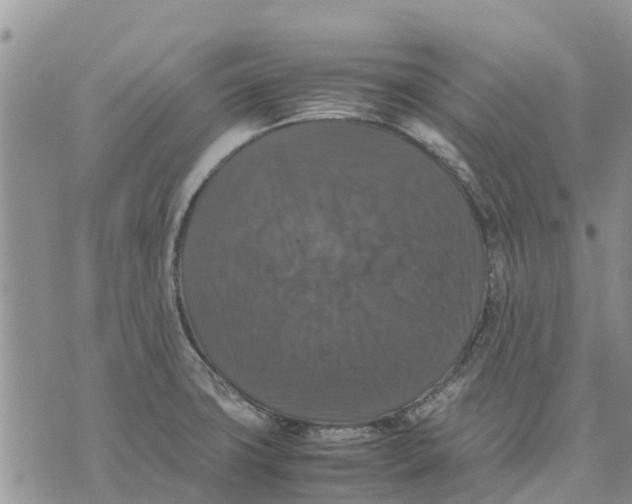 X0000070251427200606301614