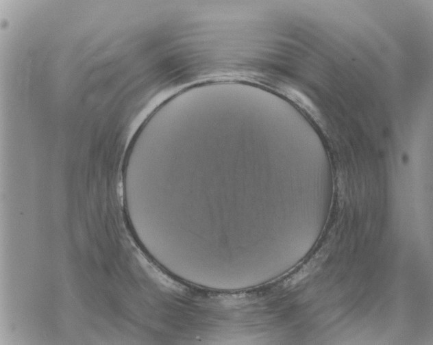 X0000070251428200606301614