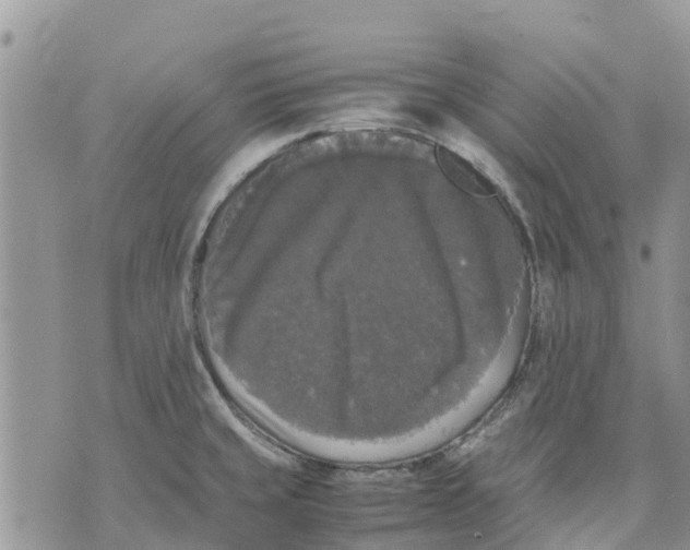 X0000070251429200606301615