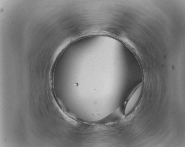 X0000070251430200606301615