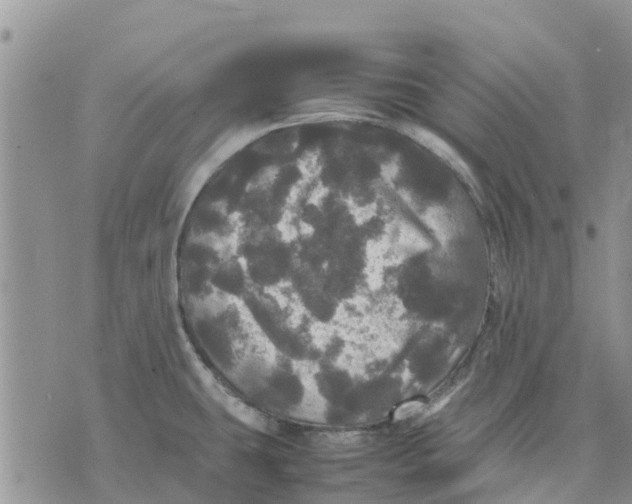 X0000070251431200606301615