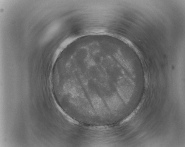 X0000070251432200606301615