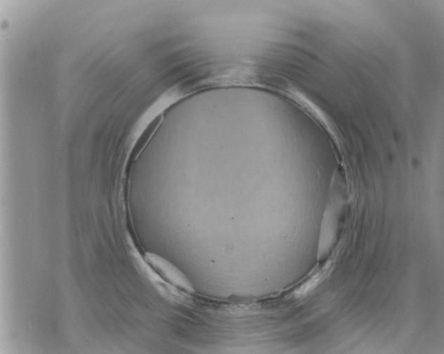 X0000070251434200606301615