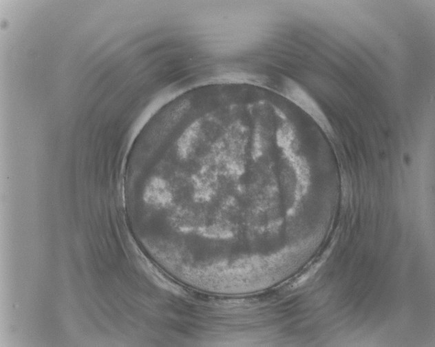 X0000070251436200606301615