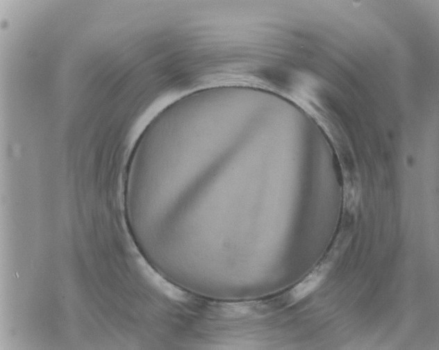 X0000070251438200606301615