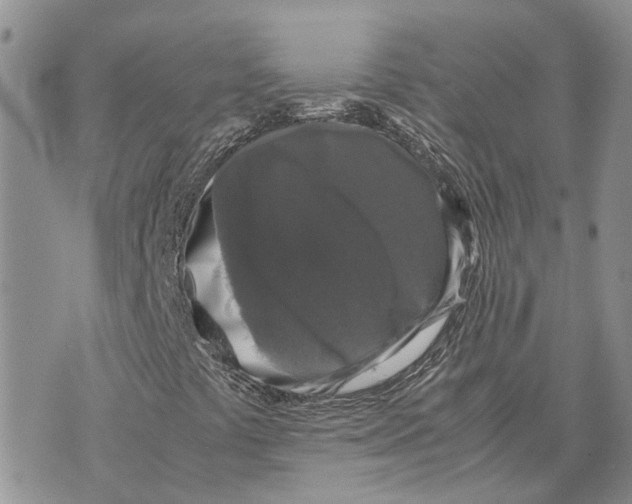 X0000070251441200606301614