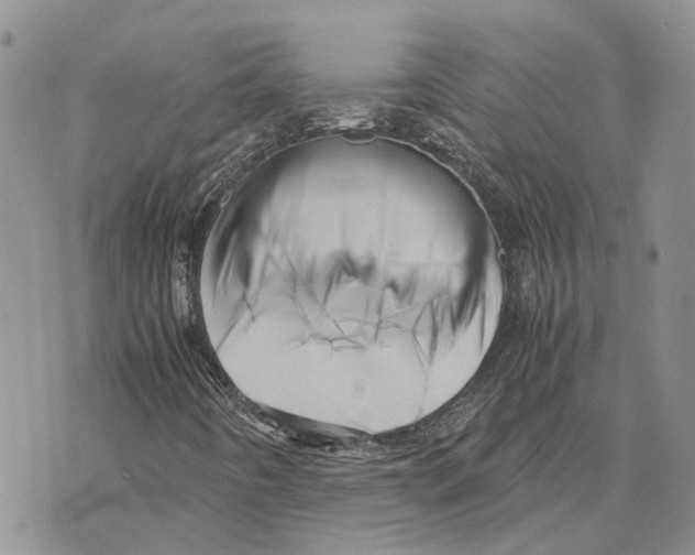 X0000070251442200606301614