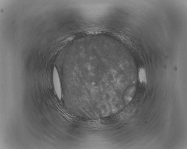 X0000070251444200606301614