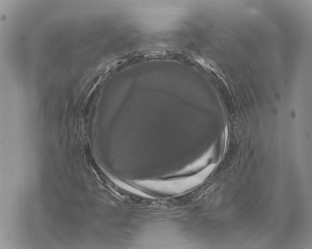 X0000070251445200606301614