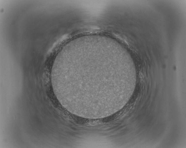 X0000070251447200606301614