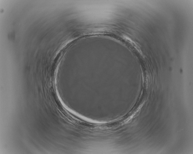 X0000070251449200606301614