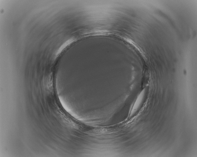 X0000070251450200606301614