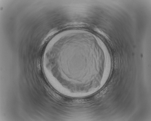 X0000070251451200606301614