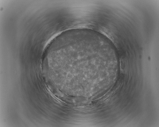 X0000070251452200606301614