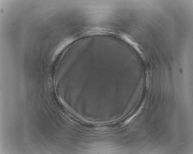 X0000070251453200606301614