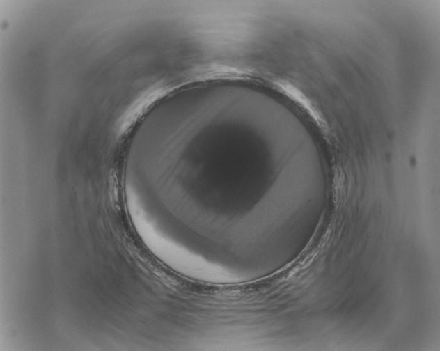 X0000070251455200606301614