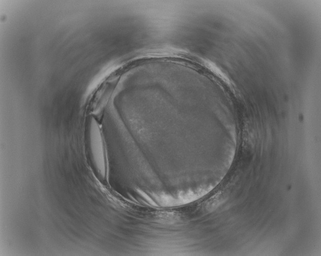 X0000070251456200606301614